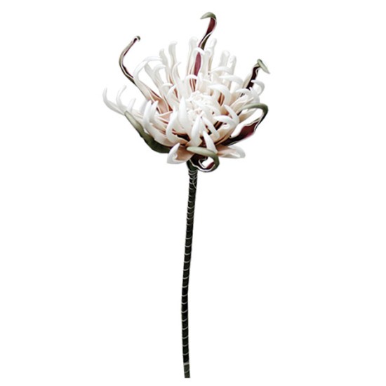 FOAM ΣΟΜΟΝ ΑΓΚΙΝΑΡΑ Y82cm. 12/120ΚΙΒ FOAM ΣΟΜΟΝ ΑΓΚΙΝΑΡΑ Y82cm. 12/120ΚΙΒ