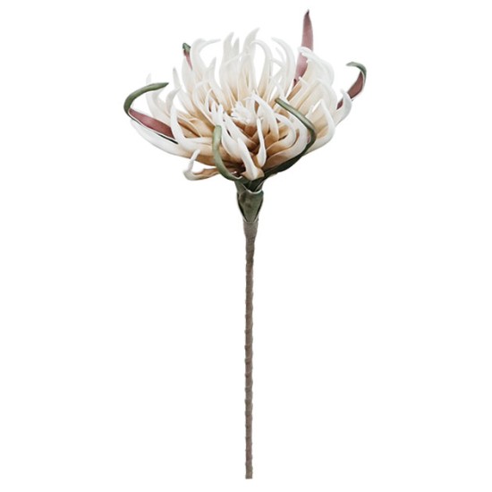 FOAM ΚΑΦΕ ΝΕΟ ΑΓΚΙΝΑΡΑ Y82cm. 12/120ΚΙΒ FOAM ΚΑΦΕ ΝΕΟ ΑΓΚΙΝΑΡΑ Y82cm. 12/120ΚΙΒ
