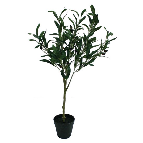 ΔΕΝΤΡΟ ΕΛΙΑΣ ΣΕ ΓΛΑΣΤΡΑ - Y65cm 6/72ΚΙΒ ΔΕΝΤΡΟ ΕΛΙΑΣ ΣΕ ΓΛΑΣΤΡΑ - Y65cm 6/72ΚΙΒ
