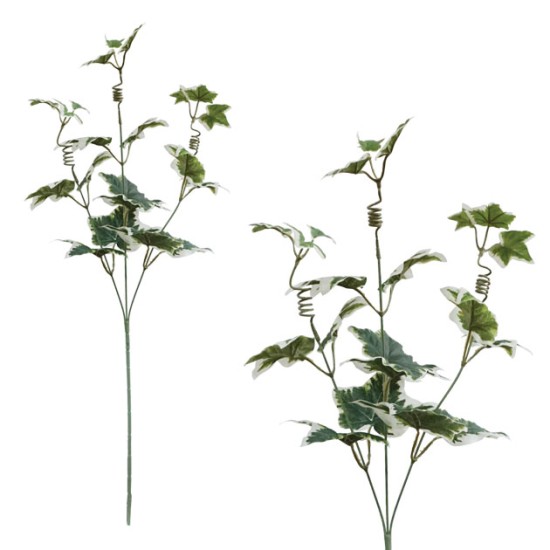 ΚΛΑΔΙ ΚΙΣΣΟΣ ΔΙΧΡΩΜΟΣ Y56cm. 12/144KIB ΚΛΑΔΙ ΚΙΣΣΟΣ ΔΙΧΡΩΜΟΣ Y56cm. 12/144KIB