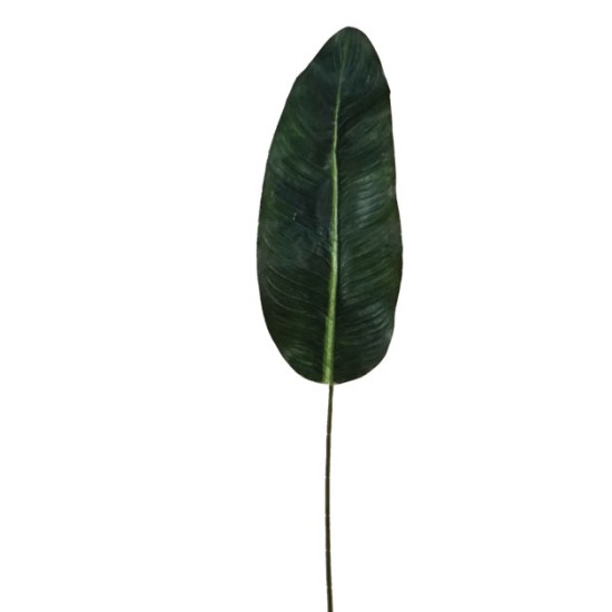 ΠΑΛΜΑ ΦΥΛΛΟ ΚΛΑΔΙ Y80cm. 72/504KIB ΠΑΛΜΑ ΦΥΛΛΟ ΚΛΑΔΙ Y80cm. 72/504KIB