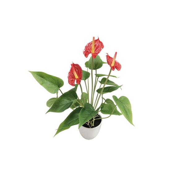 ΦΥΤΟ ΜΙΝΙ ΑΝΘΟΥΡΙΟ KOKKINO REAL TOUCH x3 - Y43cm 6/48KIB ΦΥΤΟ ΜΙΝΙ ΑΝΘΟΥΡΙΟ KOKKINO REAL TOUCH x3 - Y43cm 6/48KIB