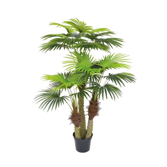 ΔΕΝΤΡΟ ΠΙΤΣΑΡΔΙΑ ΦΟΙΝΙΚΑΣ X3 REAL TOUCH ΣΕ ΓΛΑΣΤΡΑ - Y180cm 2/KIB ΔΕΝΤΡΟ ΠΙΤΣΑΡΔΙΑ ΦΟΙΝΙΚΑΣ X3 REAL TOUCH ΣΕ ΓΛΑΣΤΡΑ - Y180cm 2/KIB