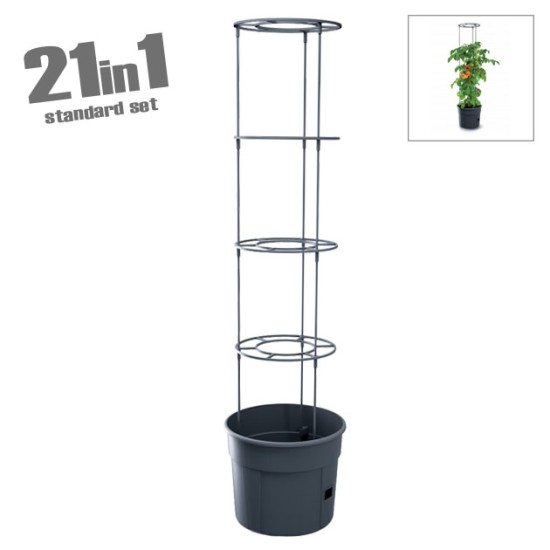 ΓΛΑΣΤΡΑ ΑΝΑΡΡΙΧΩΜΕΝΩΝ ΦΥΤΩΝ ΑΝΘΡΑΚΙ TOMATO GROWER Φ39.2x31.5/153cm 1/5ΚΙΒ ΓΛΑΣΤΡΑ ΑΝΑΡΡΙΧΩΜΕΝΩΝ ΦΥΤΩΝ ΑΝΘΡΑΚΙ TOMATO GROWER Φ39.2x31.5/153cm 1/5ΚΙΒ