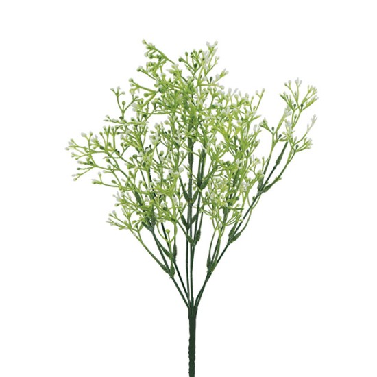 ΜΠΟΥΚΕΤΟ ΠΡΑΣΙΝΑΔΑ-ΓΥΨΟΦΥΛΛΟ Υ36cm 120/360 ΜΠΟΥΚΕΤΟ ΠΡΑΣΙΝΑΔΑ-ΓΥΨΟΦΥΛΛΟ Υ36cm 120/360