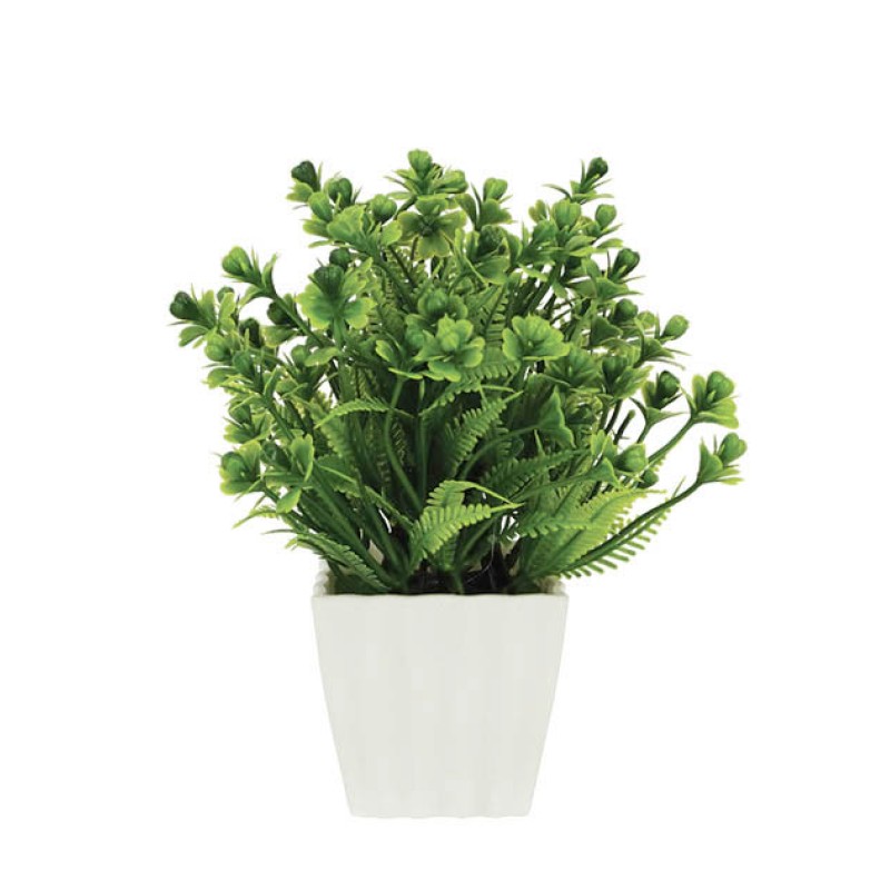 ΛΟΥΛΟΥΔΙ ΣΕ ΓΛΑΣΤΡΑΚΙ ΠΡΑΣΙΝΟ 8x21cm 1/120KIB