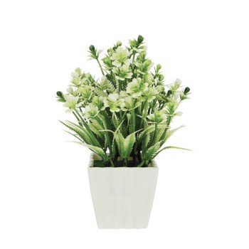 ΛΟΥΛΟΥΔΙ ΛΕΥΚΟ ΣΕ ΓΛΑΣΤΡΑΚΙ 8x21cm 1/120KIB