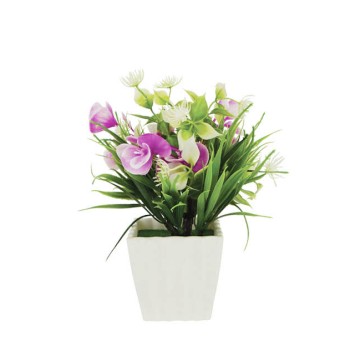 ΛΟΥΛΟΥΔΙ ΜΩΒ ΣΕ ΓΛΑΣΤΡΑΚΙ 8x21cm 1/120KIB