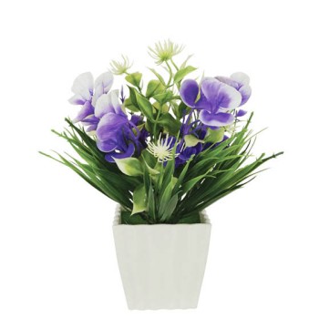 ΛΟΥΛΟΥΔΙ ΜΩΒ ΣΕ ΓΛΑΣΤΡΑΚΙ 8x21cm 1/120KIB