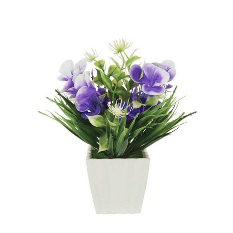 ΛΟΥΛΟΥΔΙ ΜΩΒ ΣΕ ΓΛΑΣΤΡΑΚΙ 8x21cm 1/120KIB