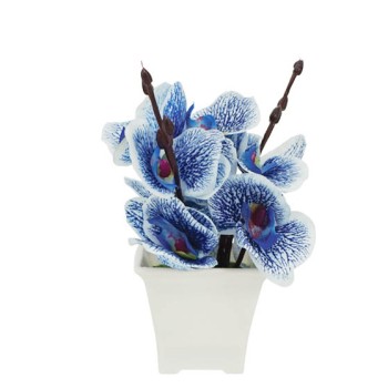 ΛΟΥΛΟΥΔΙ ΜΠΛΕ ΣΕ ΓΛΑΣΤΡΑΚΙ 7x19cm 1/144KIB