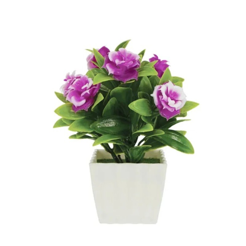 ΛΟΥΛΟΥΔΙ ΜΩΒ ΣΕ ΓΛΑΣΤΡΑΚΙ 7x16cm 1/192KIB