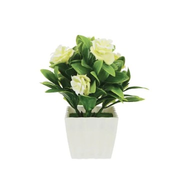 ΛΟΥΛΟΥΔΙ ΛΕΥΚΟ ΣΕ ΓΛΑΣΤΡΑΚΙ 7x16cm 1/192KIB