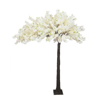 ΔΕΝΤΡΟ ΣΑΜΠΑΝΙ ΑΝΘΙΣΜΕΝH ΚΕΡΑΣΙΑ ΠΛΑΓΙΟ Υ260cm 1/ΚΙΒ