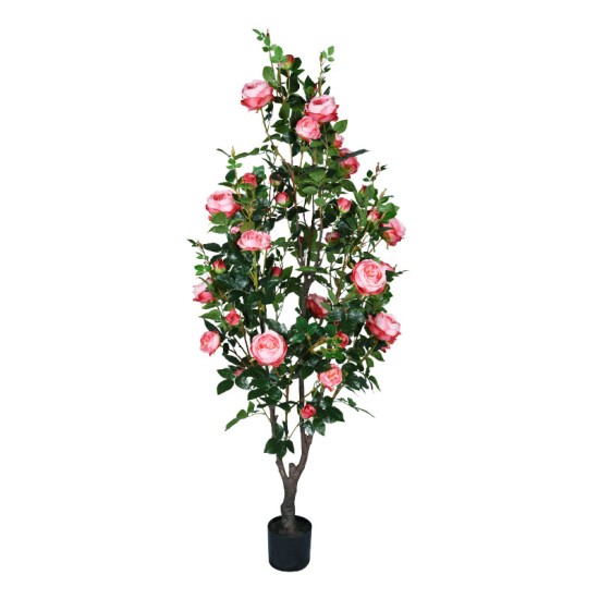 ΔΕΝΤΡΟ ΡΟΖ ΤΡΙΑΝΤΑΦΥΛΛΙΑ ΣΕ ΓΛΑΣΤΡΑ Υ175cm 2/ΚΙΒ ΔΕΝΤΡΟ ΡΟΖ ΤΡΙΑΝΤΑΦΥΛΛΙΑ ΣΕ ΓΛΑΣΤΡΑ Υ175cm 2/ΚΙΒ