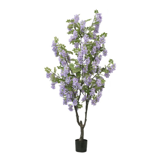 ΔΕΝΤΡΟ ΛΙΛΑ ΠΑΣΧΑΛΙΑ ΣΕ ΓΛΑΣΤΡΑ Υ190cm 2/ΚΙΒ ΔΕΝΤΡΟ ΛΙΛΑ ΠΑΣΧΑΛΙΑ ΣΕ ΓΛΑΣΤΡΑ Υ190cm 2/ΚΙΒ
