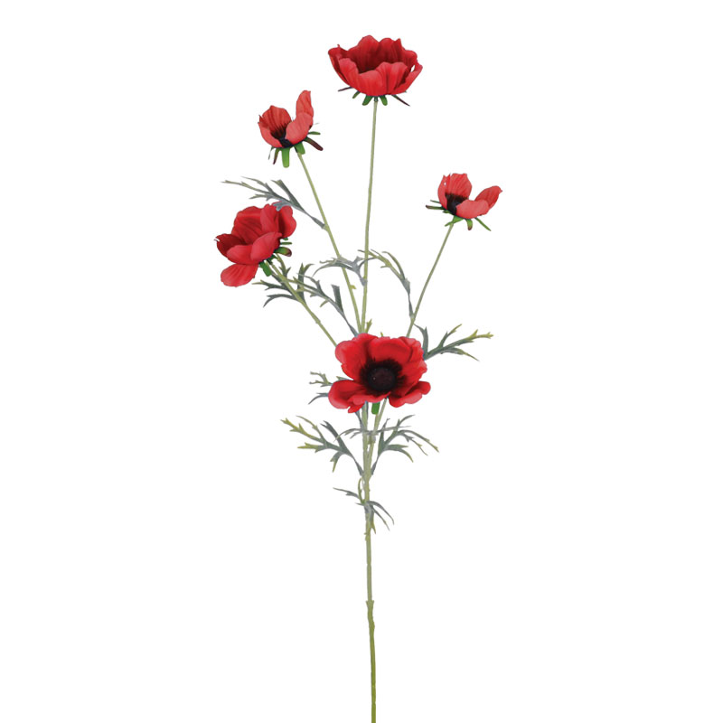 ΚΛΑΔΙ ΠΑΠΑΡΟΥΝΑ ΚΟΚΚΙΝΟ - Y80cm 24/120KIB