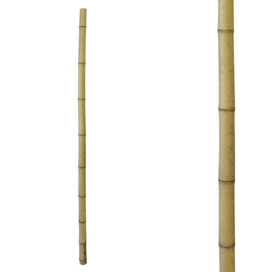 ΦΥΣΙΚΟ ΚΑΛΑΜΙ ΜΠΑΜΠΟΥ ΦΥΣΙΚΟ - Φ4/5x180cm 1/50KIB ΦΥΣΙΚΟ ΚΑΛΑΜΙ ΜΠΑΜΠΟΥ ΦΥΣΙΚΟ - Φ4/5x180cm 1/50KIB