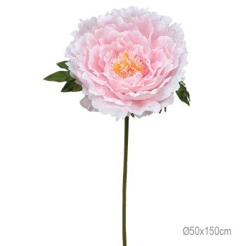 ΚΛΑΔΙ ΠΑΙΩΝΙΑ ΡΟΖ ΓΙΓΑΣ - Φ50x150cm 8/ΚΙΒ