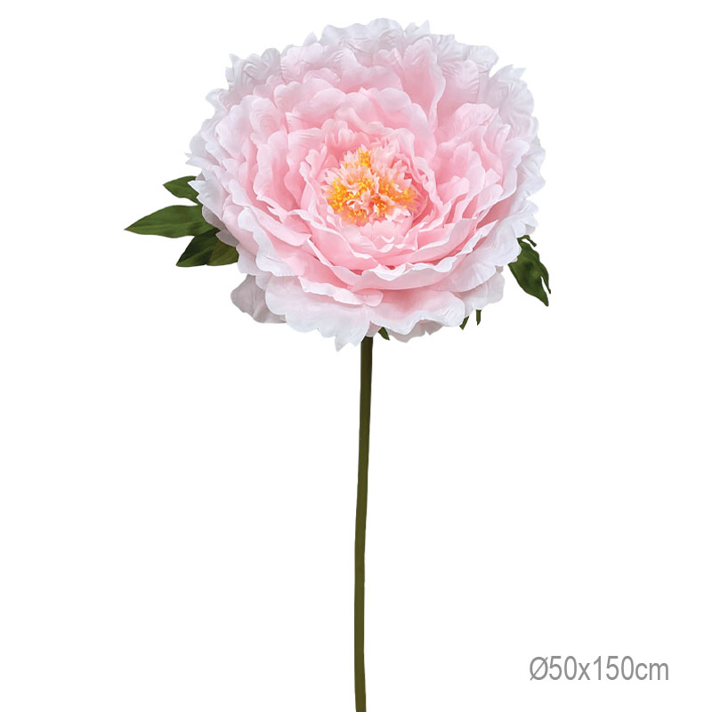 ΚΛΑΔΙ ΠΑΙΩΝΙΑ ΡΟΖ ΓΙΓΑΣ - Φ50x150cm 8/ΚΙΒ