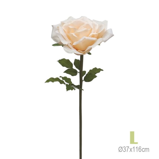 ΚΛΑΔΙ ΤΡΙΑΝΤΑΦΥΛΛΟ ΣΟΜΟΝ ΓΙΓΑΣ L - Φ37x116cm 12/KIB ΚΛΑΔΙ ΤΡΙΑΝΤΑΦΥΛΛΟ ΣΟΜΟΝ ΓΙΓΑΣ L - Φ37x116cm 12/KIB