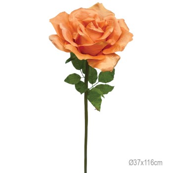 ΚΛΑΔΙ ΤΡΙΑΝΤΑΦΥΛΛΟ ΠΟΡΤΟΚΑΛΙ ΓΙΓΑΣ - Φ37x116cm 12/ΚΙΒ