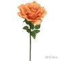 ΚΛΑΔΙ ΤΡΙΑΝΤΑΦΥΛΛΟ ΠΟΡΤΟΚΑΛΙ ΓΙΓΑΣ - Φ37x116cm 12/ΚΙΒ