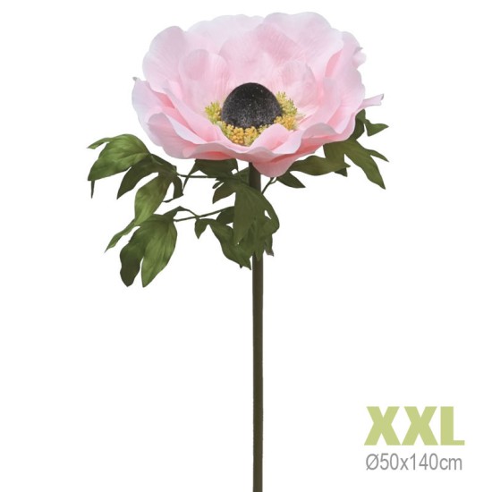 ΚΛΑΔΙ ΑΝΕΜΟΝΗ ΡΟΖ ΓΙΓΑΣ XXL - Φ50x140cm 12/KIB ΚΛΑΔΙ ΑΝΕΜΟΝΗ ΡΟΖ ΓΙΓΑΣ XXL - Φ50x140cm 12/KIB