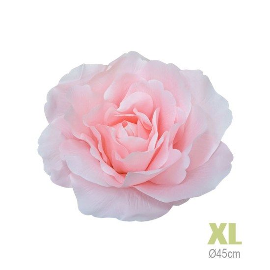 ΚΡΕΜΑΣΤΟ ΑΝΘΟΣ ΤΡΙΑΝΤΑΦΥΛΛΟ ΡΟΖ ΓΙΓΑΣ XL - Φ45cm 6/ΚΙΒ ΚΡΕΜΑΣΤΟ ΑΝΘΟΣ ΤΡΙΑΝΤΑΦΥΛΛΟ ΡΟΖ ΓΙΓΑΣ XL - Φ45cm 6/ΚΙΒ