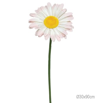 ΚΛΑΔΙ ΜΑΡΓΑΡΙΤΑ  ΕΚΡΟΥ ΣΟΜΟΝ ΓΙΓΑΣ- Φ30x90cm 24/ΚΙΒ