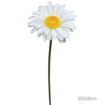ΚΛΑΔΙ ΜΑΡΓΑΡΙΤΑ ΛΕΥΚΟ ΓΙΓΑΣ - Φ30x90cm 24/ΚΙΒ