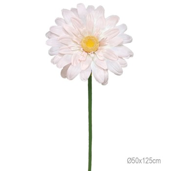 ΚΛΑΔΙ ΜΑΡΓΑΡΙΤΑ ΣΟΜΟΝ ΓΙΓΑΣ - Φ50x125cm 24/ΚΙΒ