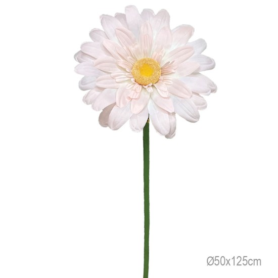 ΚΛΑΔΙ ΜΑΡΓΑΡΙΤΑ ΣΟΜΟΝ ΓΙΓΑΣ - Φ50x125cm 24/ΚΙΒ ΚΛΑΔΙ ΜΑΡΓΑΡΙΤΑ ΣΟΜΟΝ ΓΙΓΑΣ - Φ50x125cm 24/ΚΙΒ