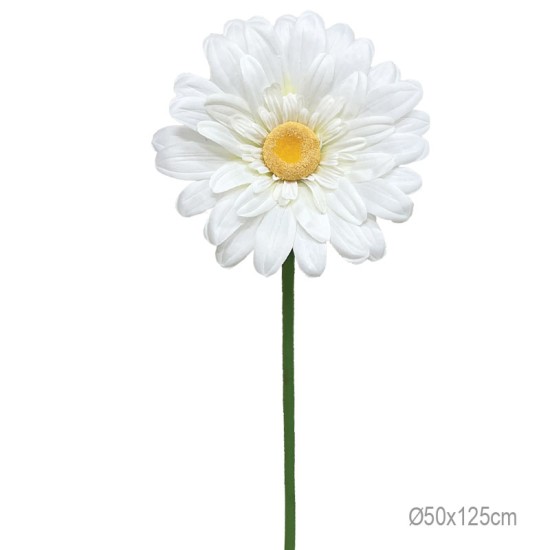 ΚΛΑΔΙ ΜΑΡΓΑΡΙΤΑ ΛΕΥΚΟ ΓΙΓΑΣ - Φ50x125cm 24/ΚΙΒ