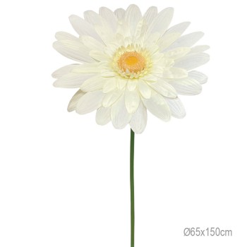 ΚΛΑΔΙ ΜΑΡΓΑΡΙΤΑ ΚΙΤΡΙΝΟ ΓΙΓΑΣ - Φ65x150cm 12/ΚΙΒ