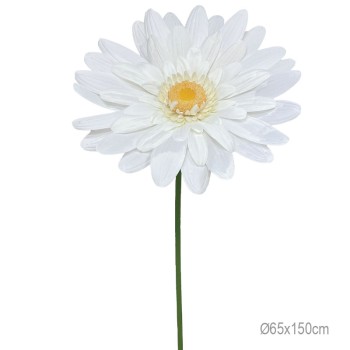 ΚΛΑΔΙ ΜΑΡΓΑΡΙΤΑ ΣΟΜΟΝ ΓΙΓΑΣ XXL - 65x65x150cm 12/ΚΙΒ