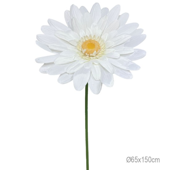 ΚΛΑΔΙ ΜΑΡΓΑΡΙΤΑ ΛΕΥΚΟ ΓΙΓΑΣ XXL - 65x65x150cm 12/ΚΙΒ ΚΛΑΔΙ ΜΑΡΓΑΡΙΤΑ ΛΕΥΚΟ ΓΙΓΑΣ XXL - 65x65x150cm 12/ΚΙΒ