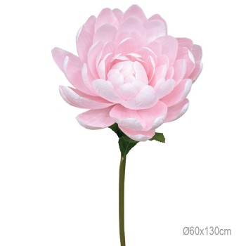 ΚΛΑΔΙ ΝΟΥΦΑΡΟ ΡΟΖ ΓΙΓΑΣ - Φ60x130cm 6/ΚΙΒ