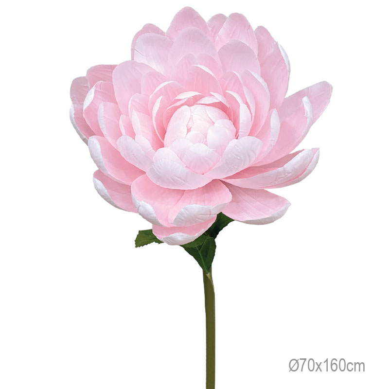 ΚΛΑΔΙ ΝΟΥΦΑΡΟ ΡΟΖ ΓΙΓΑΣ - Φ70x160cm 6/ΚΙΒ