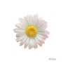 ΚΡΕΜΑΣΤΟ ΑΝΘΟΣ ΜΑΡΓΑΡΙΤΑ ΣΟΜΟΝ/ΕΚΡΟΥ ΓΙΓΑΣ - Φ30x9cm 24/ΚΙΒ
