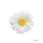 ΚΡΕΜΑΣΤΟ ΑΝΘΟΣ ΜΑΡΓΑΡΙΤΑ ΛΕΥΚΟ ΓΙΓΑΣ - Φ30x9cm 24/ΚΙΒ