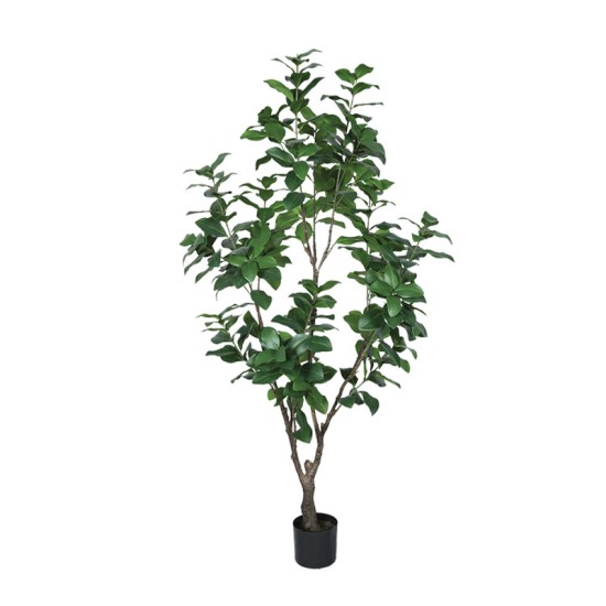ΔΕΝΤΡΟ ΔΑΦΝΗ ΠΡΑΣΙΝΟ TEXNHTO ΣΕ ΓΛΑΣΤΡΑ - Y152cm 2/ΚΙΒ ΔΕΝΤΡΟ ΔΑΦΝΗ ΠΡΑΣΙΝΟ TEXNHTO ΣΕ ΓΛΑΣΤΡΑ - Y152cm 2/ΚΙΒ