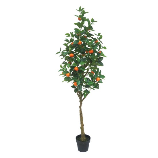 ΔΕΝΤΡΟ ΠΟΡΤΟΚΑΛΙΑ REAL TOUCH ΣΕ ΚΑΣΠΩ - Υ180cm 1/2ΚΙΒ ΔΕΝΤΡΟ ΠΟΡΤΟΚΑΛΙΑ REAL TOUCH ΣΕ ΚΑΣΠΩ - Υ180cm 1/2ΚΙΒ