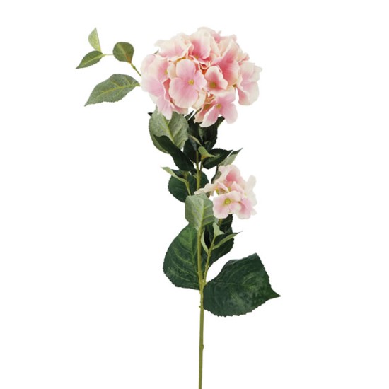 ΚΛΑΔΙ ΡΟΖ ΟΡΤΑΝΣΙΑ Χ2 Y94cm ΔΙΑΜ20-10cm 24/120KIB ΚΛΑΔΙ ΡΟΖ ΟΡΤΑΝΣΙΑ Χ2 Y94cm ΔΙΑΜ20-10cm 24/120KIB