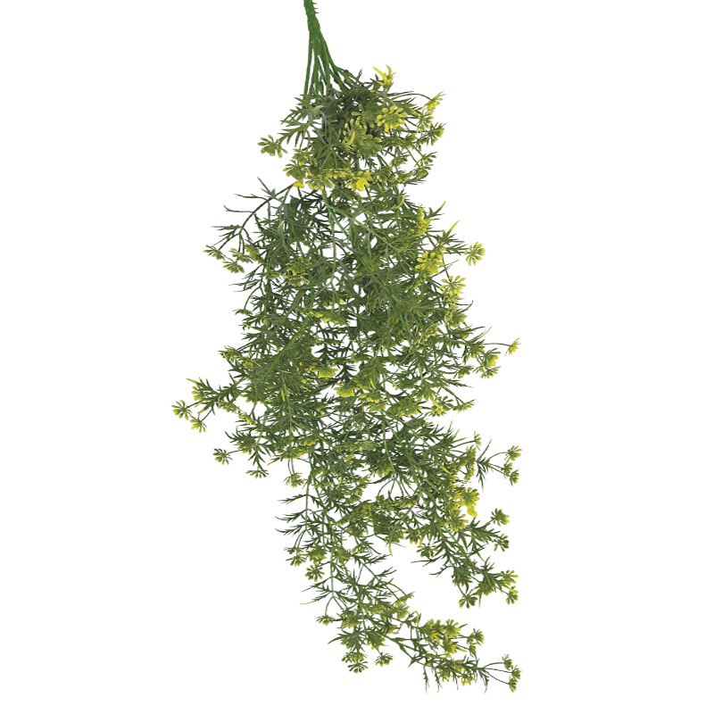 ΡΙΖΑ ΚΡΕΜΑΣΤΗ ME ΑΝΘΑΚΙA ΚΙΤΡΙΝΟ - 36/108ΚΙΒ