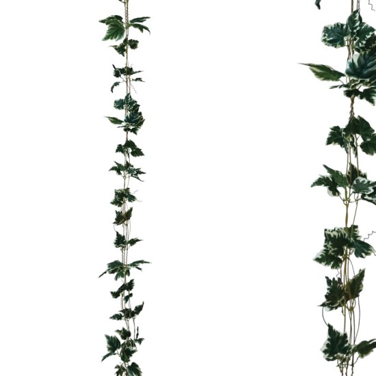 ΓΙΡΛΑΝΤΑ ΔΙΧΡΩΜΟ ΠΡΑΣΙΝΟ ΚΙΣΣΟΣ Χ3 - Υ270cm 1/132ΚΙΒ ΓΙΡΛΑΝΤΑ ΔΙΧΡΩΜΟ ΠΡΑΣΙΝΟ ΚΙΣΣΟΣ Χ3 - Υ270cm 1/132ΚΙΒ