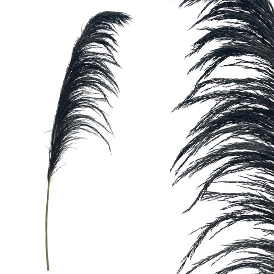 ΚΛΑΔΙ ΜΑΥΡΟ ΠΑΜΠΑΣ ΑΠΟΞΗΡΑΜΕΝΟ 1TMX Υ145~150cm,70~88cm ΤΟ ΑΝΘΟΣ-250/ΚΙΒ ΚΛΑΔΙ ΜΑΥΡΟ ΠΑΜΠΑΣ ΑΠΟΞΗΡΑΜΕΝΟ 1TMX Υ145~150cm,70~88cm ΤΟ ΑΝΘΟΣ-250/ΚΙΒ