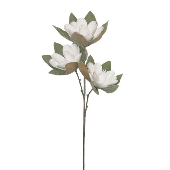 FOAM ΛΕΥΚΟ ΜΑΝΩΛΙΑ x3 ΑΝΘΟΣ 35x85cm 6/60KIB FOAM ΛΕΥΚΟ ΜΑΝΩΛΙΑ x3 ΑΝΘΟΣ 35x85cm 6/60KIB