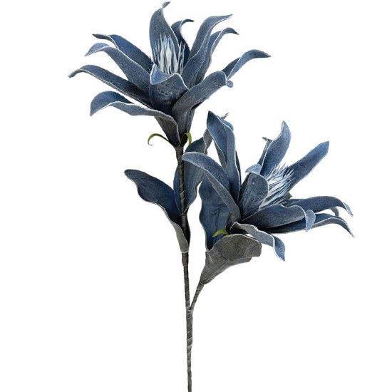ΚΛΑΔΙ FOAM ΑΝΘΗ ΓΚΟΥΣΜΑΝΙΑ x2 ΜΠΛΕ - 15x95cm 8/24ΚΙΒ ΚΛΑΔΙ FOAM ΑΝΘΗ ΓΚΟΥΣΜΑΝΙΑ x2 ΜΠΛΕ - 15x95cm 8/24ΚΙΒ