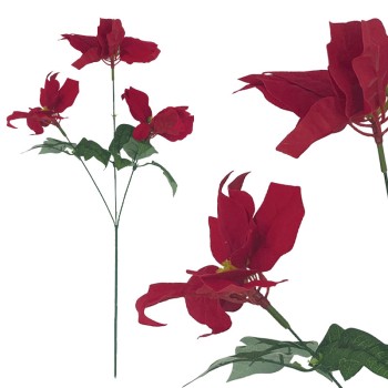 ΧΡΙΣΤΟΥΓΕΝΝΙΑΤΙΚΟ ΚΛΑΔΙ ΑΛΕΞΑΝΔΡΙΝΟ ΚΟΚΚΙΝΟ Χ3 - 32x22x64cm 24/ΚΙΒ